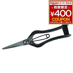 ꓁  n EP-10    ؂ dB  nT~ ͂ ~ 4962308305415