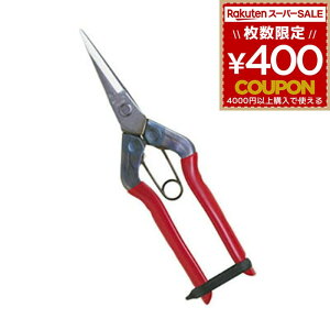 `J}T XeX T-550S XeX  ߐ 뒼n ؂ E Eʗp np | n Eʍ ƒ؉  ʕ E ܂т   ͂ nT~ 