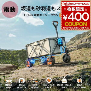 AEghAS d S L[S litheli dL[S C`lANZX W2 PRO e150L ω׏d100kg AEghA Lv W[ W[ I őo 900w Oi