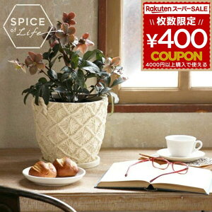 y݌Ɍz XpCX SPICE Aؔ  A }Nv^[ LTCY   O }N }N҂ }N  lC ϗtA  }bg K[f|bg 