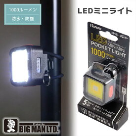 ポケットライト ライト ミニライト 非常灯 散歩 ランニング ウォーキング 暗所 1000lm 防水 防塵 IP66 アウトドア 登山 釣り 磁石付き クリップ付き 軽量 サイクリング 持ち運び 人気 小型 防災 充電式 点滅 自転車 BIGMAN ビッグマン LEDミニライト充電キューブ BPML-EVO
