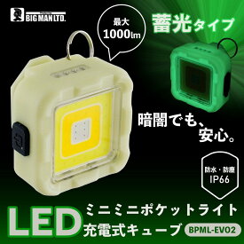 ポケットライト ライト 蓄光 光る 1000lm ミニライト 非常灯 散歩 ランニング ウォーキング 暗所 釣り 防水 防塵 IP66 アウトドア 磁石付き クリップ付き 軽量 持ち運び 小型 暗い場所 防災 充電式 点滅 自転車 BIGMAN ビッグマン