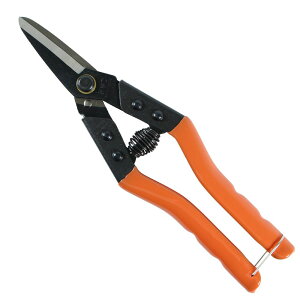 z[Jbg n  nT~ ͂ g^  rj[ vX`bN  Jbg ؒf rbO} BIGMAN IK-22 4962308165118