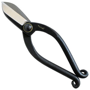  ͂  nT~ @Y Xd㐶   ؓ   165~ SP-13