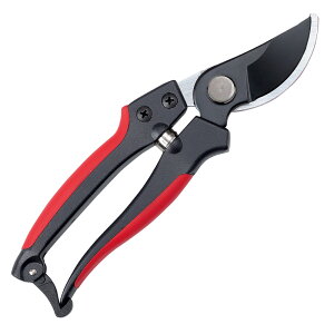    oT~ nT~  ͂ | K[fjO }؂ }  L{V S[fX^[ Golden Star A~GbWt 200mm 2280 4951167622818