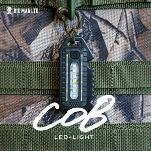 LEDCg BM LED~j~j|PbgCg[d c |PbgCg gуCg Ɩ Cg LED RpNg BPLM-04 F ԐF F _ USB [d }Olbg zCbX Lv AEghA E