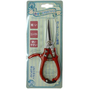 OWL ȉ؂͂ #556 ͂ nT~    K[fjO ~ ז | ̉ 4941019110419