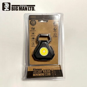 LEDCg BM LED~j~j|PbgCg[d Op |PbgCg gуCg Ɩ Cg LED RpNg Jri BPLM-01 530lm F gF ԐF _ _ USB [d }Olbg Lv AEg