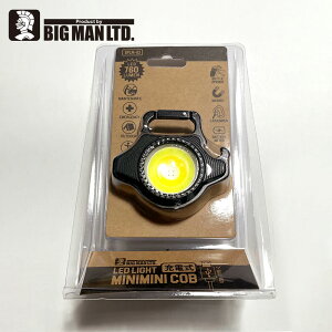 LEDCg BM LED~j~j|PbgCg[d Ђ` |PbgCg gуCg Ɩ Cg LED RpNg Jri BPLM-03 760lm F gF ԐF _ _ USB [d }Olbg Lv AE