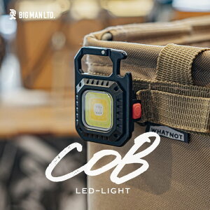 LEDCg BM LED~j~j|PbgCg[d lp |PbgCg gуCg Ɩ Cg LED RpNg Jri BPLM-02 950lm F gF ԐF _ _ USB [d }Olbg Lv AEg