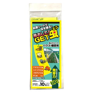 鏤 ƂV[g Q쏜 ݂邵GET~j 10 Ƃ  Q nG  RoG AU~E} RiW~ nOoG _j nEX | rj[nEX _ ƒ؉ GT-002 45712583