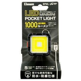 BIGMAN ビッグマン LEDミニライト充電キューブ 自転車 バックライト BPML-EVO 4962308014515