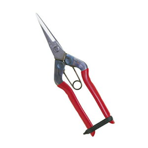 `J}T XeX T-550S XeX  ߐ 뒼n ؂ E Eʗp np | n Eʍ ƒ؉  ʕ E ܂т   ͂ nT~ 
