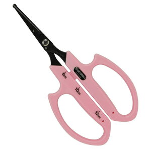 T{e Ԃǂ Ԃǂ  Eʗp Eʗp ؉  ͂ nT~ ʎn ؎n ʎ  n ۃtbfR[g n B-6M 4976365200187