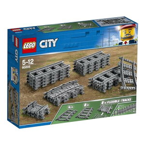 S(LEGO)VeB [Zbg 60205  ubN v[g d ł񂵂 j̎q ̎q 5~12