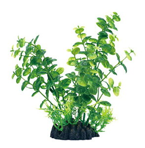 WFbNX i LoRp Ϗ܋EpI[ig ɍLlH