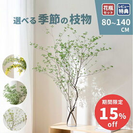 【アフターセール開催中】枝もの 季節の枝物 ドウダンツツジ 枝 切り枝 フラワーベース アセビ 馬酔木 啓翁桜 けいおう桜 ミモザ ユーカリ 生花