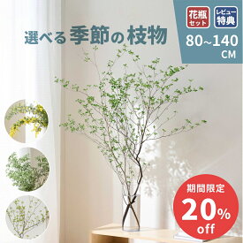 【期間限定20%off SALE】枝もの 季節の枝物 観葉植物 ドウダンツツジ アセビ 高野槙 枝 切り枝 フラワーベース 啓翁桜 けいおう桜 ミモザ ユーカリ 生花