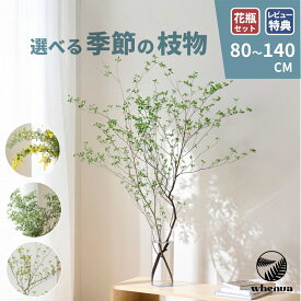 枝もの 季節の枝物 ドウダンツツジ 枝 切り枝 フラワーベース アセビ 馬酔木 啓翁桜 けいおう桜 ミモザ ユーカリ 生花