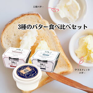 hV̓  ΂  y 3 o^[ Hה Zbg z  Y o^[ OXtFbh o^[  o^[ o^[ Lo^[ yo^[ o^[ o^[ Mt