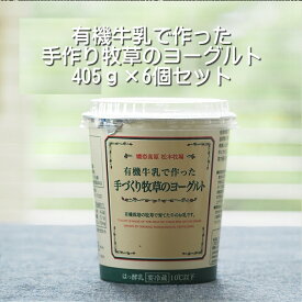 国産 ヨーグルト 高級 ヨーグルト 種菌 ヨーグルト 送料無料 プレーンヨーグルト ギフト プレゼント 乳酸菌 無糖 タカハシ乳業 お取り寄せ 乳製品 詰め合わせ 発酵 濃厚 タンパク質 お取り寄せ ご褒美 発酵食品 よーぐると yogurt クリーミー 松本牧場 T-Y6
