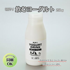 y Y   [Og 250g z Mtg [Og  v[g i lߍ킹 y mz Z Y Y  J yHi  no^[t@