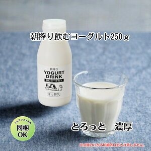 y Y   [Og 250g z Mtg [Og  v[g i lߍ킹 y mz Z Y Y  J yHi  no^[t@