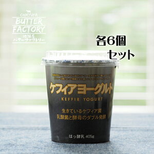 ケフィア 種菌の通販 価格比較 価格 Com