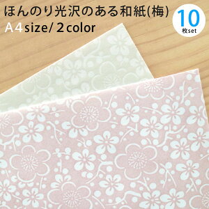 ق̂̂aE~ A4 (210×297mm) 10 a y Hp ޗ Hp nhCh a ~  p[ 킢 ԕ z