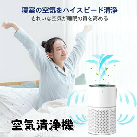 空気清浄機小型13畳花粉集じんホコリペットタバコ除菌カビ卓上20畳ハウスダストアレルギー花粉対策節電対策空気清浄マイナスイオンhepaフィルター活性炭フィルターPM2.5ミニ濾過