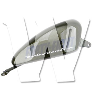 n[[ _rbh\ X|[cX^[ XL 883 1200 48 Forty-Eight 2004-2024 K\^N 14.4L 3.8GAL O[ I[goC oCN JX^ p[c ėp ЊOi Vi