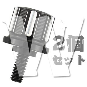 ハーレー ツーリング ソフテイル ダイナ スポーツスター XL883 1200 1996-2023 シート ボルト ネジ 2個/セット オートバイ バイク 予備品 パーツ 汎用 社外品 新品