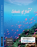 【4K撮影　ブルーレイ・業務用ヒーリングビデオ】『Schools of fish』 －The sea connects you to the wo…
