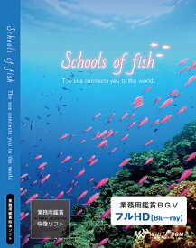 【4K撮影　ブルーレイ・業務用ヒーリングビデオ】『Schools of fish』 －The sea connects you to the world.－（約26分）♪リラックス音楽と動画　店舗BGMやイベントに 著作権フリー音楽