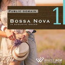 【店内音楽CD】Bossa Nova 1 - in acoustic sound - （16曲　約57分）♪リラックス音楽　店舗BGMやイベントに 著作権…
