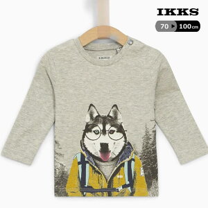yTVczIKKS(CbNX) j̎q xr[ nXL[vgTVc XM10061 tX TVc  T c uh  ꂢ  q Ki O[ 70 80cm