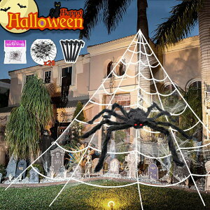 w偂̑ nEB t  N̑ ǃfR[V   nEB[ XpC_[EFu 낵 ~pi p[eB[ z[ fR[V u I[i