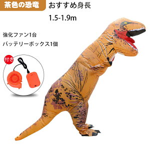  ߑ eqRXv yz eBmTEX RXv nEB  b o Cxg GARX RXv RX`[C[U c p[eB[ NX}X 