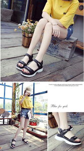 X|[cT_ fB[X Xj[J[T_ T_ ₷ ɂȂ PU _炩NbV h y JWA ^C  ăr[T xg Xgbv C C