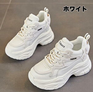  Xj[J[ fB[X V[Y _bhXj[J[  8cmq[ gAbv ؍ EH[LOV[Y Xj[J[ 킢 X|[c ₷ Ȃ C h  