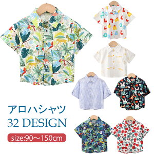 q Vc  J݃Vc JWA  xr[Vc LbY j̎q AnVc  Aj} ԕ t qǂgbvX r[` s ĕ \  V Ղ 90 100 11