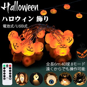 �n���E�B�� ���� ���� ���C�g �J�{�`�� �C���~�l�[�V���� �p���v�L�� LED 40�� �S��6m �d�r�� USB�� 8���[ �h �p�[�e�B ���� �N���X�}�X ���j�� ���� ���C�g �����^�� �X�g�����O�X���C�g �R�X�v