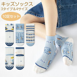 C LbY ؍q eBm 10Zbg  i` ؍ q j̎q N[\bNX ؍ t@bV xr[t@bV hS t H ~ ʉ ʊw S M L XL