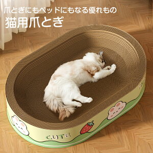 L ܂Ƃ ܌ L܌ _{[ XNb`[ KK ߂Ƃ L Lxbh XgX@i{[ ܖ 