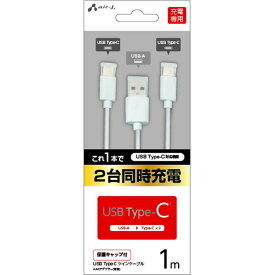 USB Type-C ツインケーブル 1m 保護キャップ付き ホワイト 2台同時充電