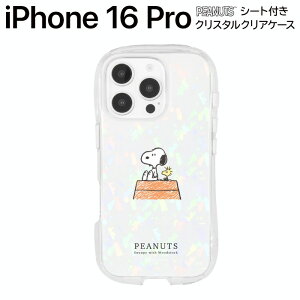 iPhone 16 Pro P[X LN^[ Xk[s[ iPhone16Pro s[ibc EbhXgbN  ϏՌ O LL 킢 ی Jo[ X}zJo[ X}zP[X