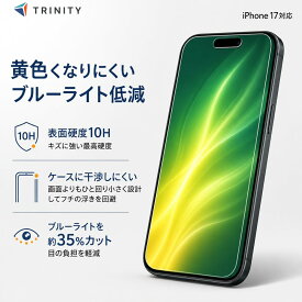iPhone17 ガラスフィルム 透明 ブルーライトカット クリア 硬度10H 飛散防止 ケースに干渉しない 平面 アイフォン アップル 正規品