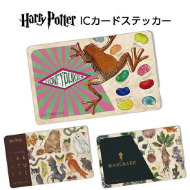 ICカードステッカー ICカード ステッカー シール キャラクター ハリーポッター ハリー 魔法 猫 ネコ ねこ フクロウ 動物 SUICA PASMO 定期券 貼り直し おしゃれ
