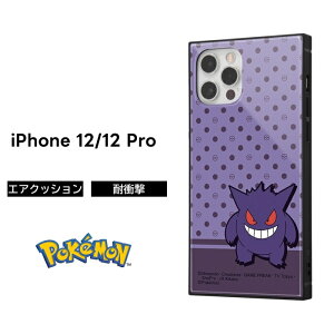 iPhone12 iPhone12Pro |P P[X ϏՌ Ռɋ ی ɋ XNGA lp n[h \tg NbV X}zP[X KAKU QK[ LN^[ 킢  iPhone 12 Pro