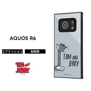 ySi|Cgő10UPzAQUOS R6 gƃWF[ P[X ϏՌ Ռɋ ی ɋ XNGA lp n[h \tg NbV SH-51B docomo KAKU g LN^[ 킢 